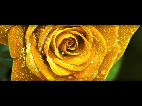 Can Muhammed - Hadi Öztürk