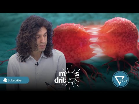 KUJDES!!! Ja ushqimet që po na shkaktojnë KANCER sipas Luçiano Bardhit - Mes'dritë