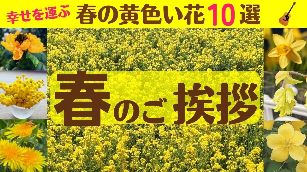 【春のご挨拶(春の黄色い花）】・LINEで送る春のメッセージカード・ギターBGM