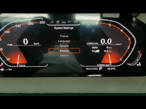 SETTING FOR BMW CLUSTER