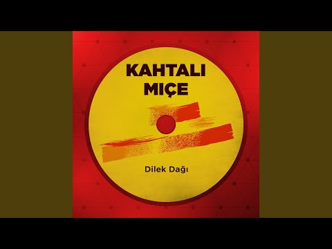 Bu Ne Güzel Bir Düğün