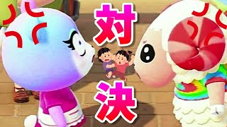 【あつ森】ちゃちゃまるとみすずの因縁の対決が！勝負の行方は・・・!?【あつまれどうぶつの森】【広場でのタイマン】