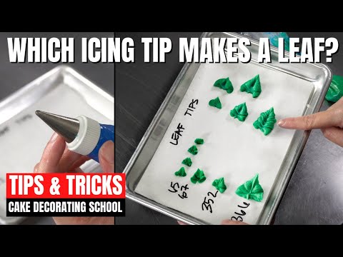 Which icing tip makes a leaf?  [ Cake Decorating For Beginners ]