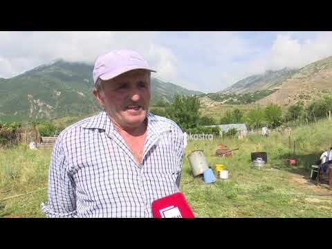 “NJË DITË NË FSHAT”,  NË KOLONJËN E BLEGTORISË