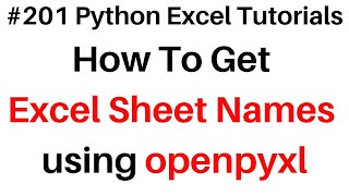 #201 Python Excel Full Course Get Sheet Names using openpyxl