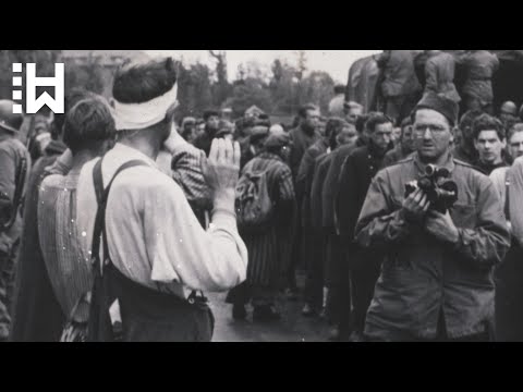 Dachau Massacre - Execution of Nazi Guards during Dachau Liberation Reprisals - World War 2
