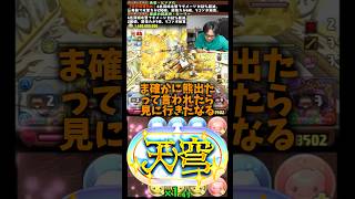 【情けない】熊が出たら見に行きたいと言う裏方 #たかし #パズドラ