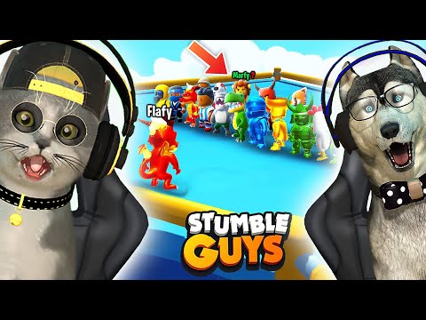 POGODI KOJI SKIN KORISTIM U STUMBLE GUYS!!!