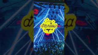 50 years of Amnesia Ibiza