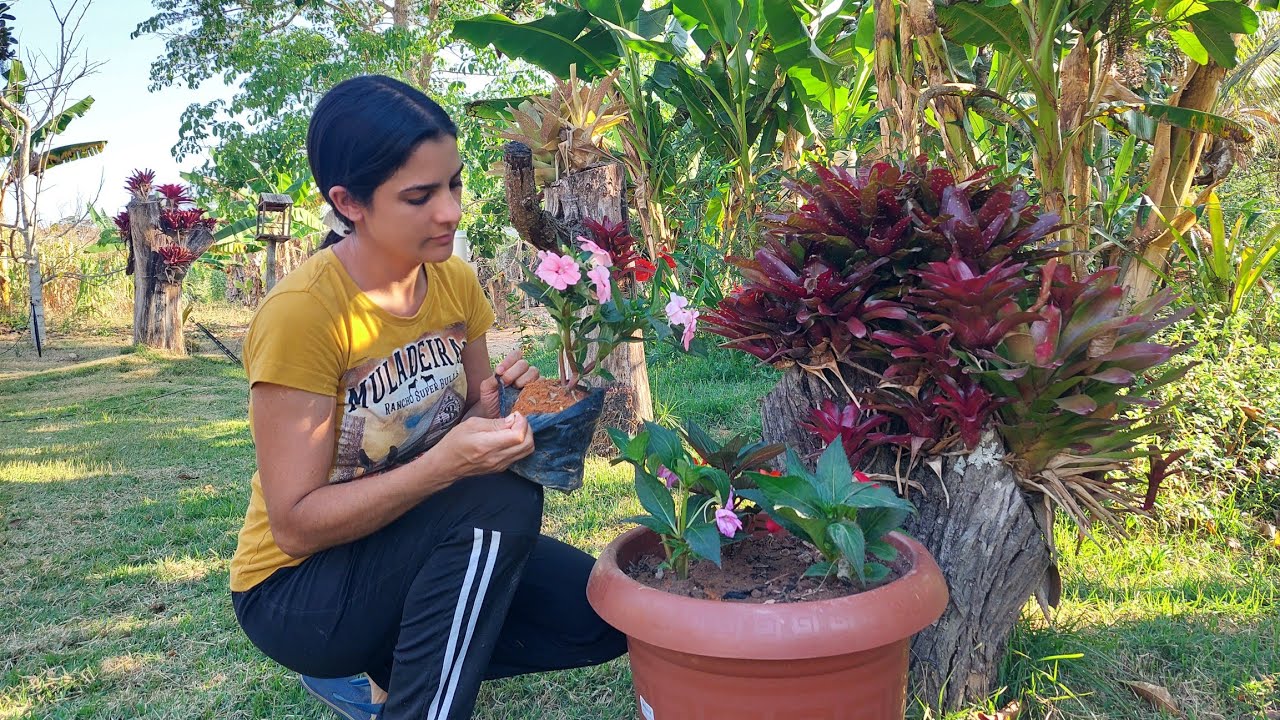 Cuidando do jardim+ fazendo sabão de cinzas