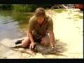 Crocodile Hunter Crocs In The City Part 1 5