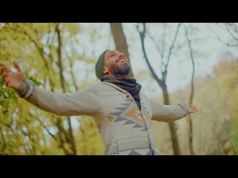 Chris Assaad - Receive (Official Visualizer)