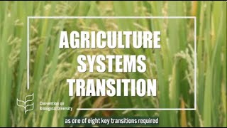 Global Biodiversity Outlook 5: Sustainable Agriculture Transition