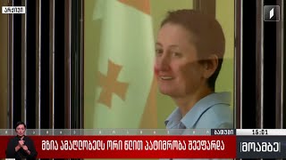 მზია ამაღლობელს ორი წლით პატიმრობა შეეფარდა