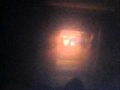 Danse du mongole (Hampton The Hamster)