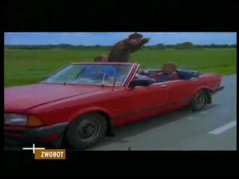 Fischmob   Dreckmarketing