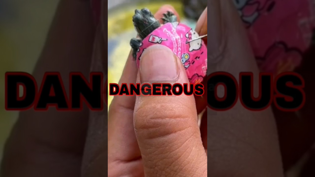 Stop Painting Turtles! Their Shells Are Not Canvas — They’re Alive! #shorts #turtle