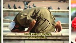 Islam in Brief-Czech