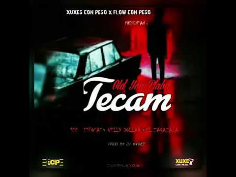 TECAM - XUXES CON PESO FT FLOW CON PESO /OFFICIAL AUDIO - PROD BY DJ YANKEE