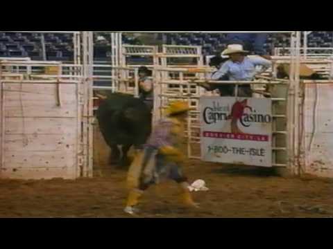 PBR 1995: Werewolf turns off the lights (78 pts)
