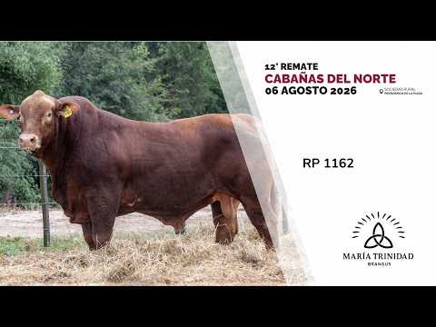 1 MARIA TRINIDAD RP 1162 TORO   CABAÑAS DEL NORTE 2026