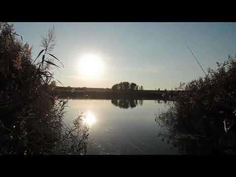 Lanseta ProLogic C3 3 90m