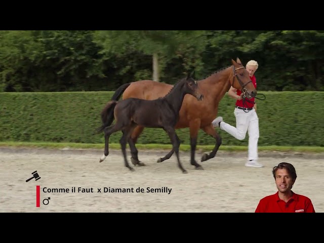 Crack the Code HSA Z