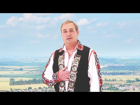 Constantin Dolanescu, Dor de frate