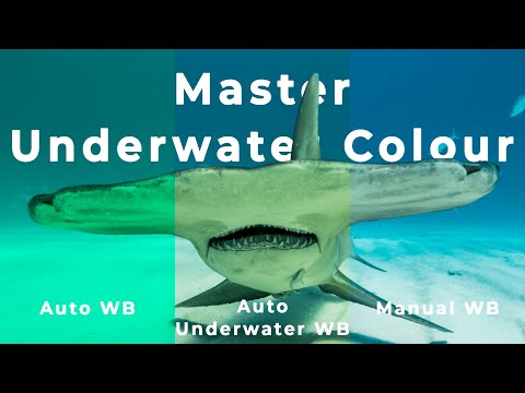 Overhaul your Underwater Footage 1 Easy Step - White Balance How To