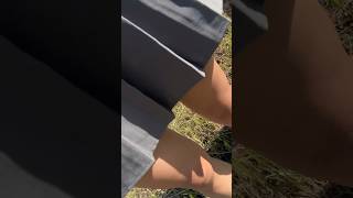 キャンプ #shorts