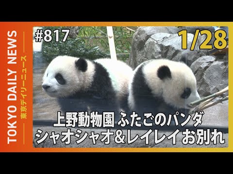 上野動物園 ふたごのパンダ シャオシャオ＆レイレイ お別れ（令和8年1月28日 東京デイリーニュース No.817）