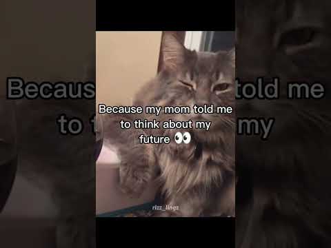 You are my future ❤️ #lovequote #catrizz  #future