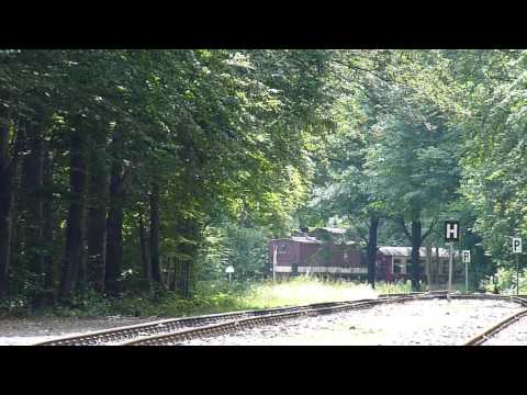 Mit Dampf und Diesel - Interessante Züge auf der Selketalbahn