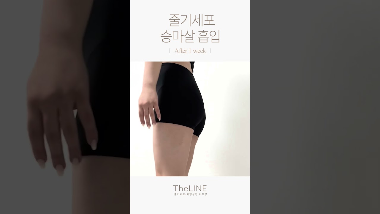 더라인 쇼츠 영상