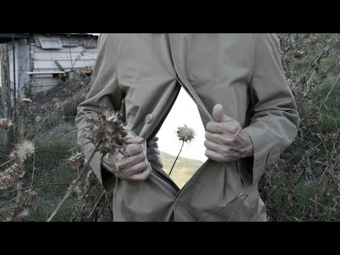 video frame placeholder