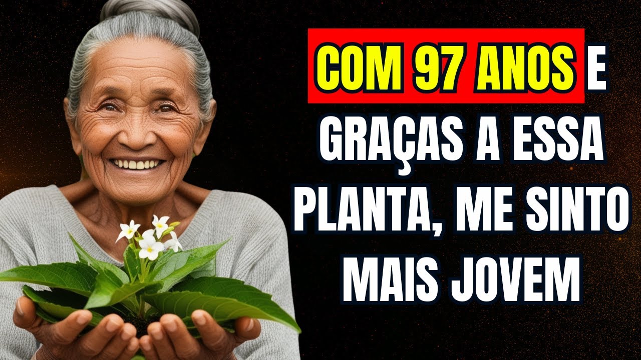 O Poder Secreto das Plantas: Descubra os Remédios da Natureza que Suas Avós Já Conheciam!