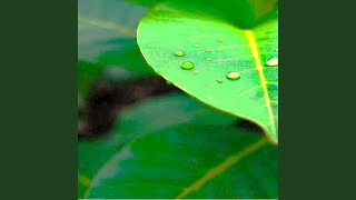 Download lagu Doa Ibu Untuk Anaknya mp3