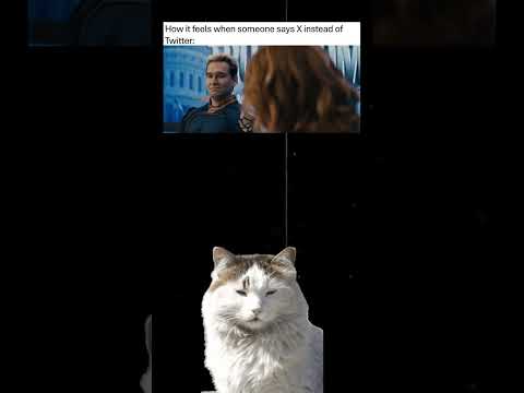 How it feels when someone says X instead of Twitter #memes #twitter #x #elonmusk #cringe