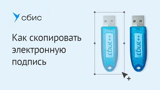 Как скопировать электронную подпись в СБИС