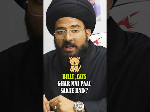 BILLI , CATS GHAR MAI PAAL SAKTE HAIN #shia #cats #billi #pets #petstagram #explore #viral #trending