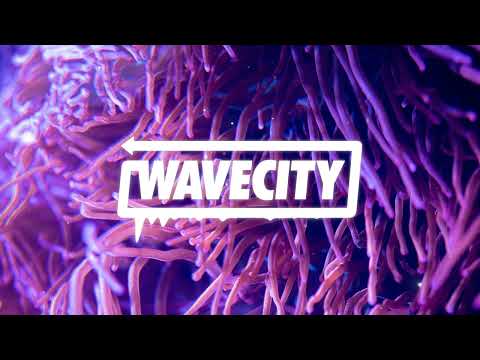 Snow Banks - Sink or Swim (barnacle boi Remix) [Wave]