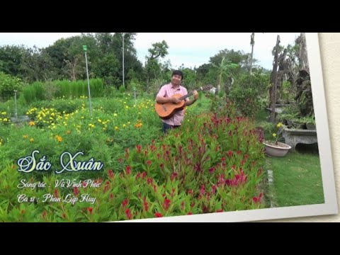 Sắc xuân - Phan Lập Huy