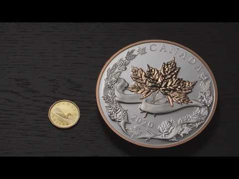 Pure Silver 5-Coin Fractional SetThe Canadian Maple Masters Collection