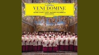 Traditional: Hymn "Conditor alme siderum"