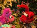 Sesame Street Wandering Through Wonderland