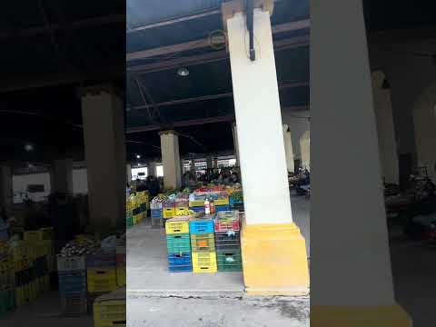 Capacho. Táchira. Venezuela.