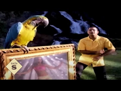 Sin Tu Cariño - Juan Carlos Coronel (Video Oficial) | Salsa