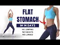 FLAT STOMACH In 14 Days Belly Fat Burn 15 Min Standing Workout No Jumping No Squats No Lunges