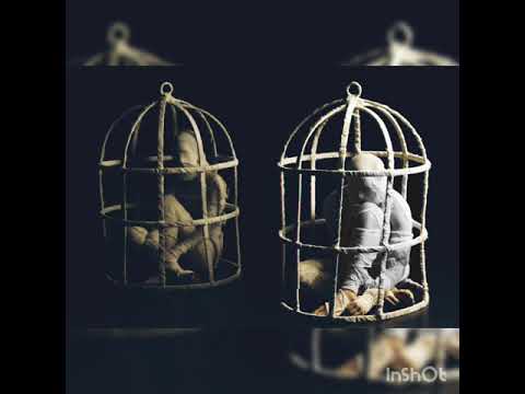 Azgo - Jaula de Métricas ☯️