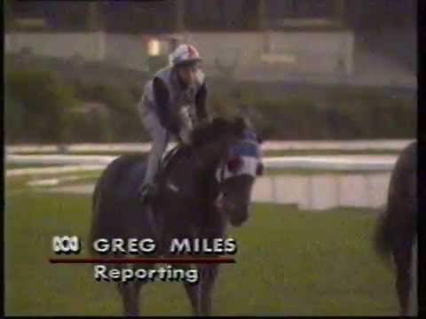 The Death of Placid Ark